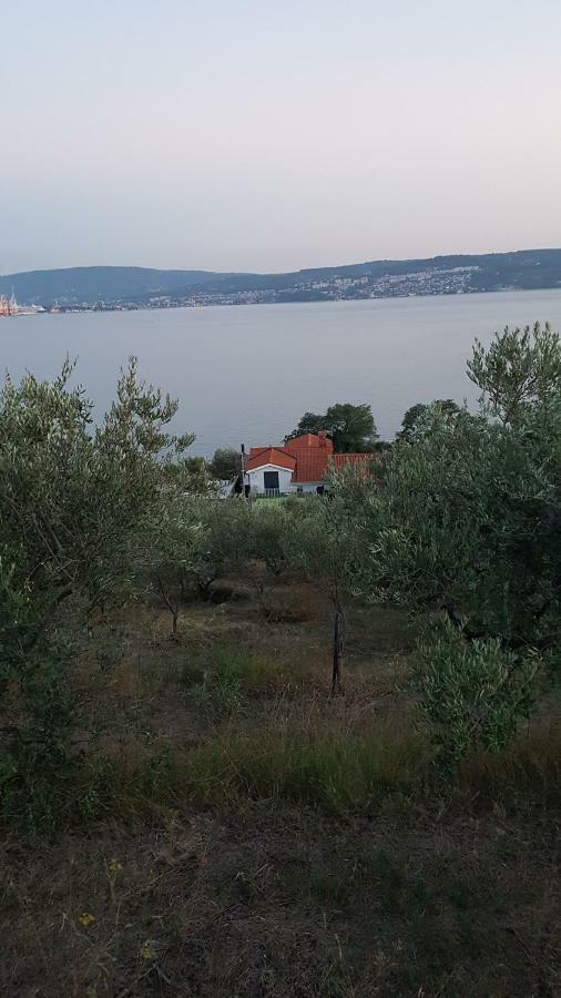 Sea View Apartments Debeli Rtic أنكاران المظهر الخارجي الصورة
